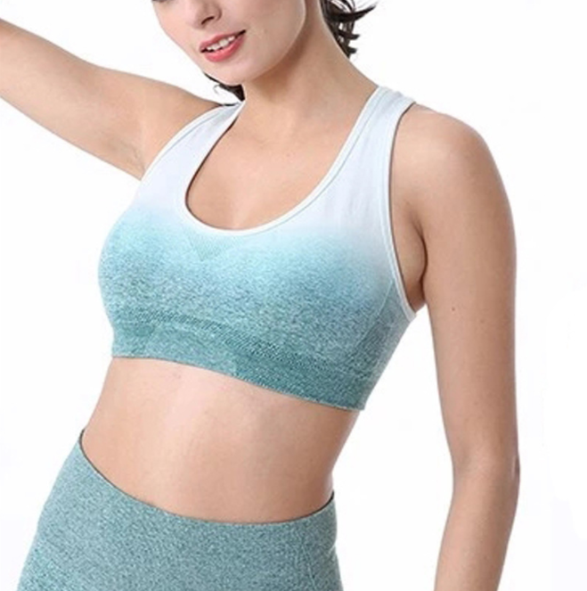 Gradient sports bra