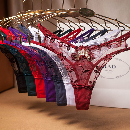 Women's Embroidered Transparent Mesh Hollow Panties Low Waist