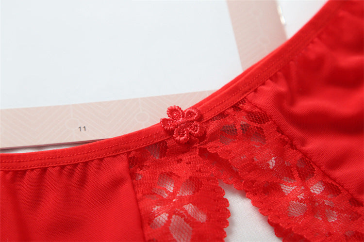 Transparent Mesh Lace Trim Low-rise Thin Panties